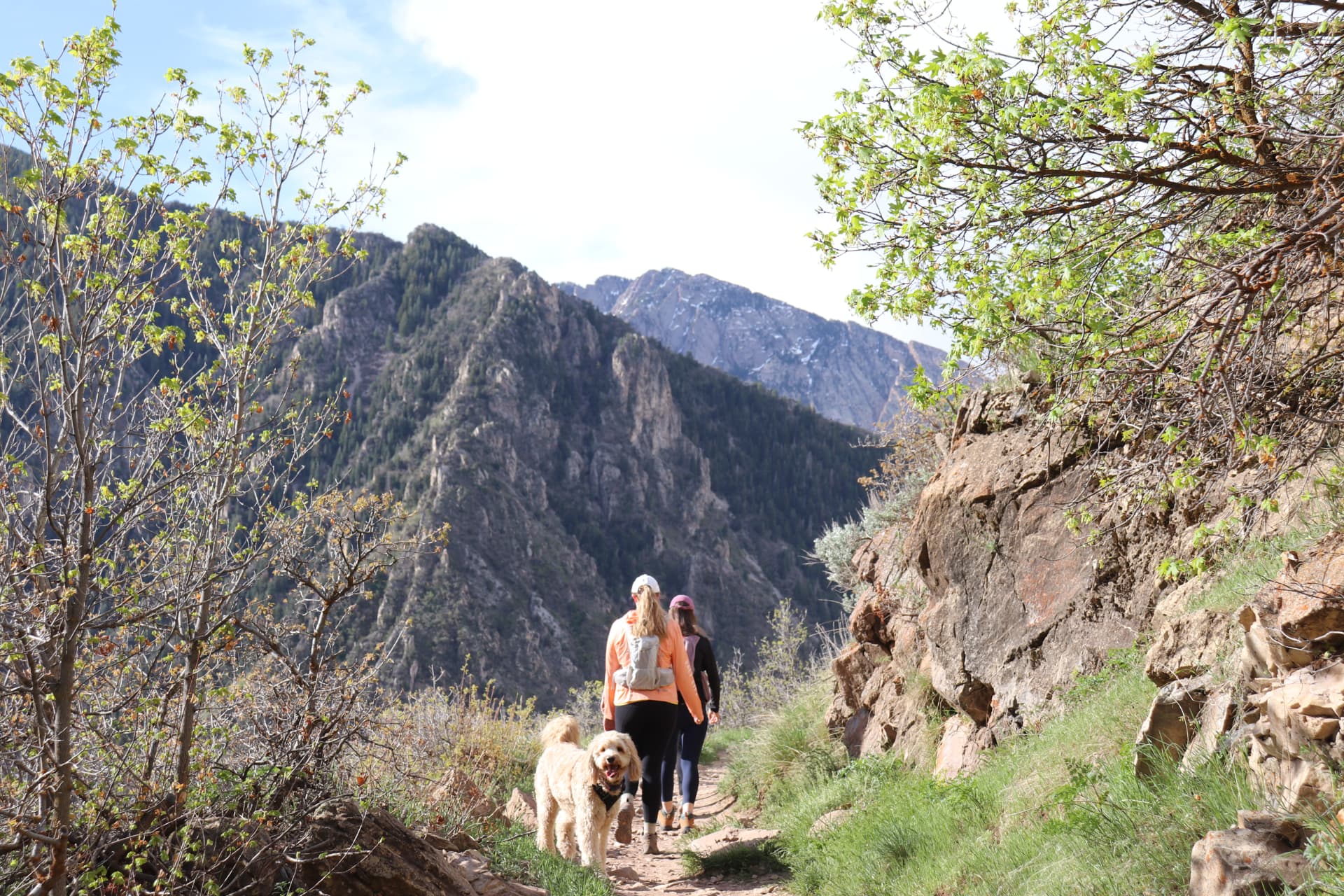 Dog and its owner hiking a mountain trail on a clear day